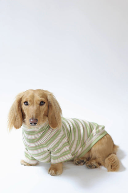 Evergreen Dog Shirt
