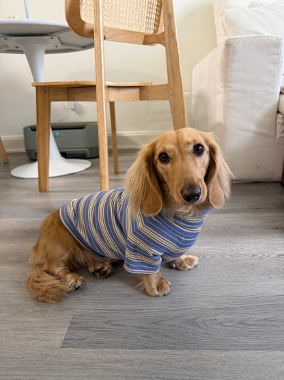 Blueberry Fields Dog Shirt