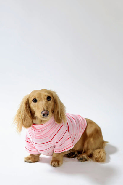 Strawberry Milk Dog Shirt