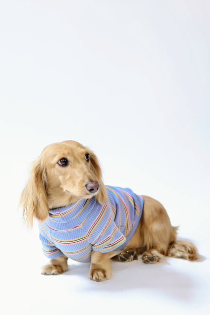 Frosted Berry Dog Shirt