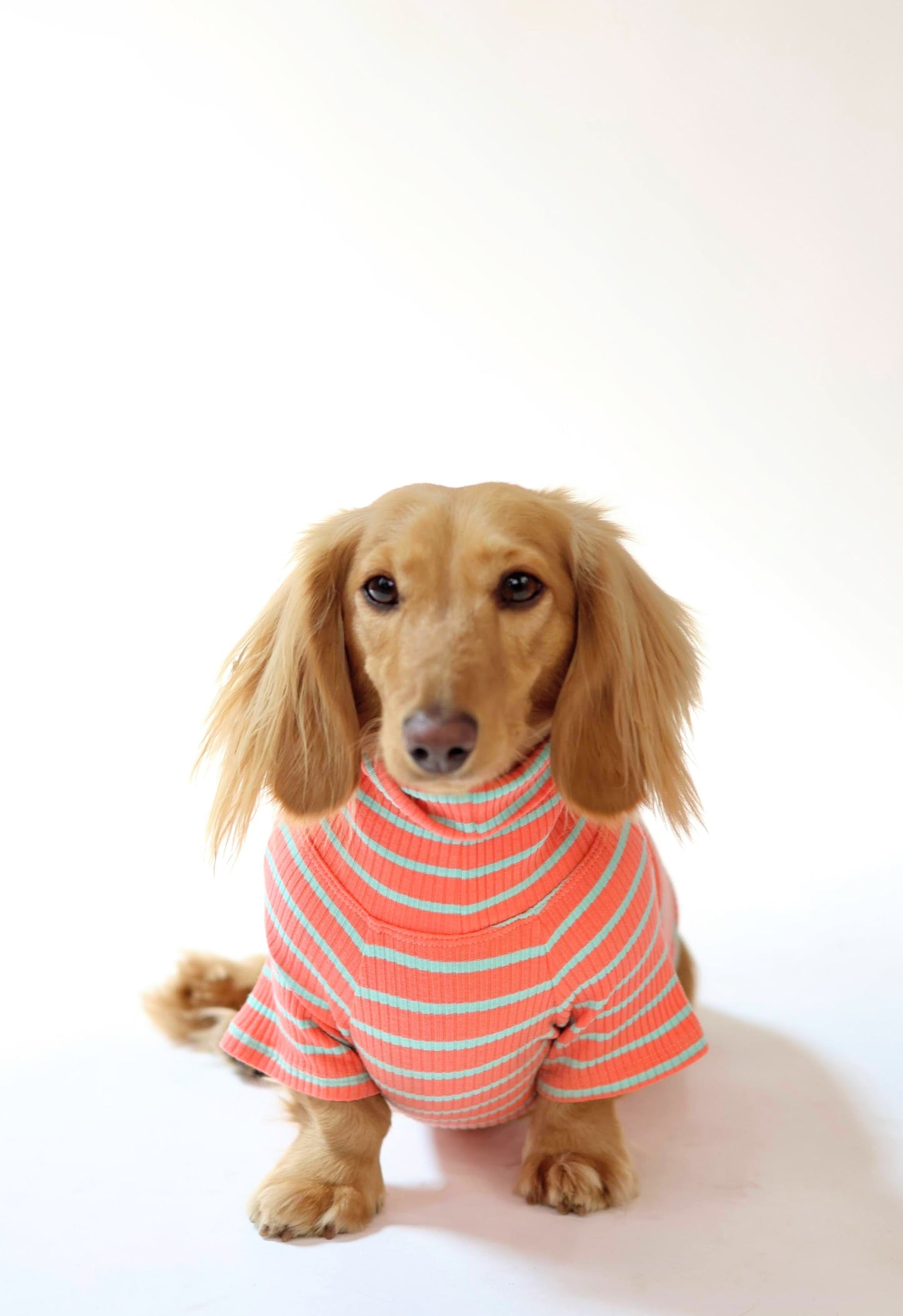 Coral Crush Dog Shirt
