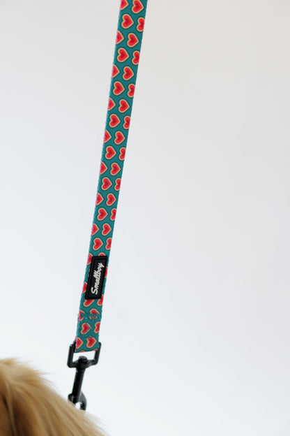 Sweetheart Leash