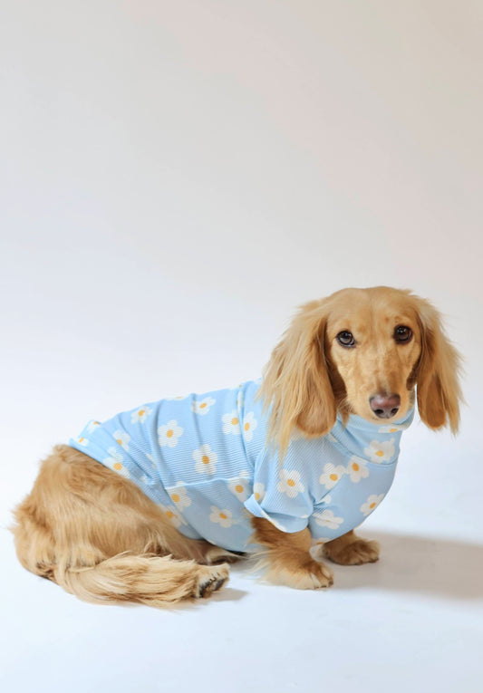 Spring Fling Dog Shirt