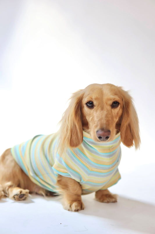 Honeydew Dog Shirt
