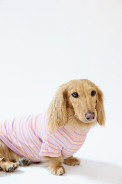 Sunset Sorbet Dog Shirt