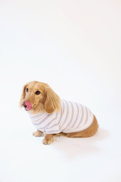 Frosted Cupcake Dog Shirt