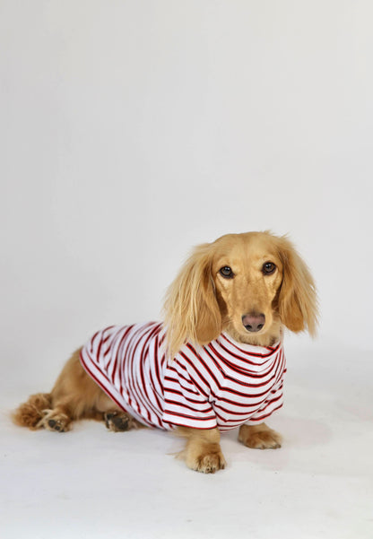 Hotdog Cart Classic Dog Sweater
