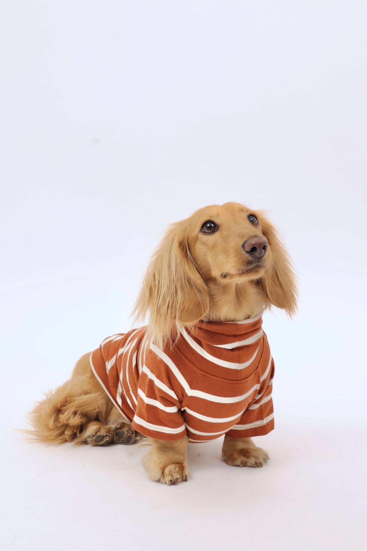 Smallboy Brown Sugar & Charcoal Striped Dog Sweater