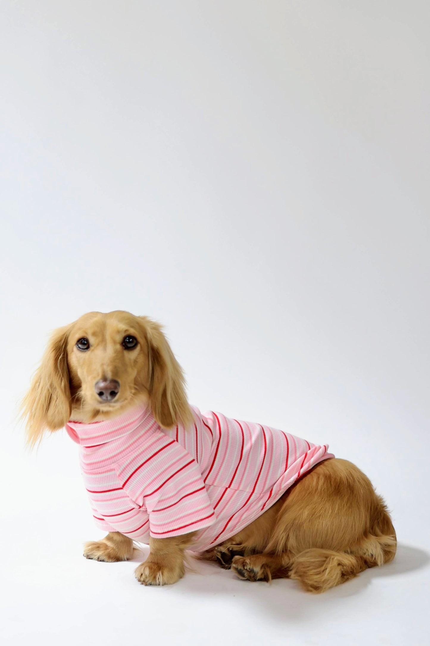 Strawberry Milk Dog Shirt
