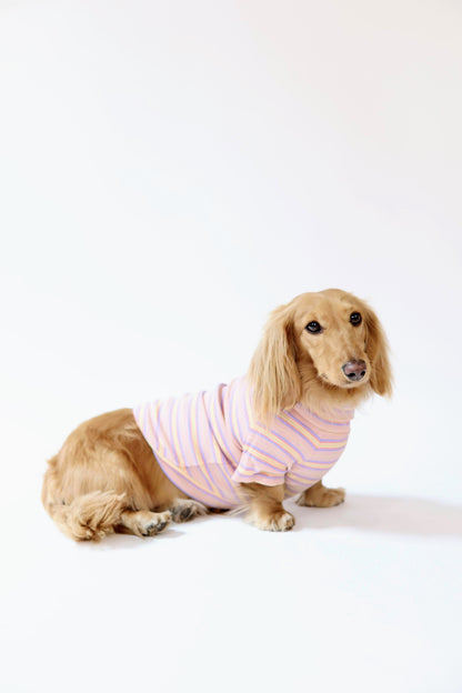 Sunset Sorbet Dog Shirt