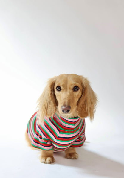 Holiday Pop Dog Shirt