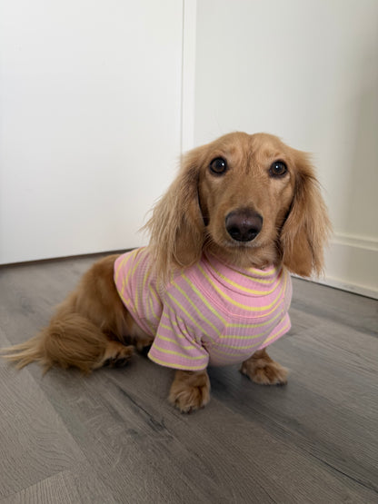 Sherbert Dog Shirt