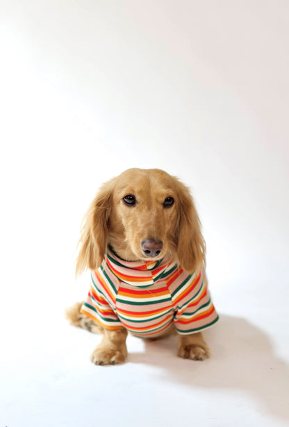 Sunset Soda Dog Shirt