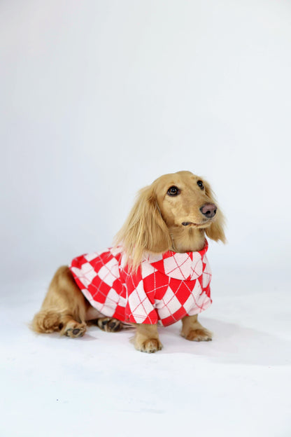 North Pole Dog Sweater