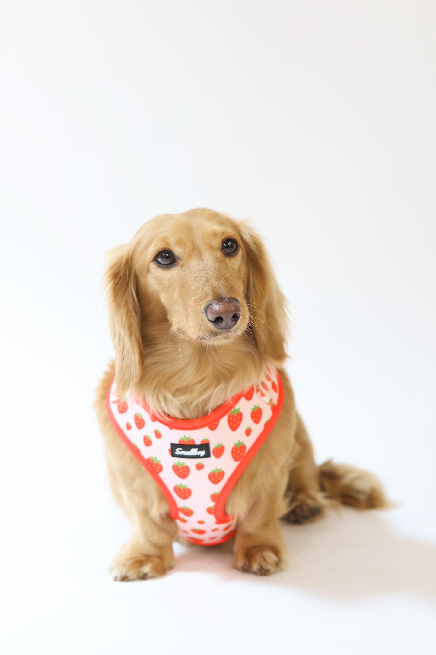 Sweet Strawberry Harness