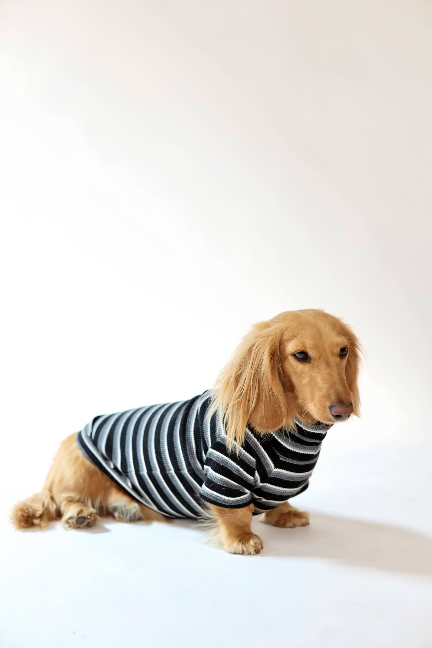 Midnight Mocha Dog Sweater