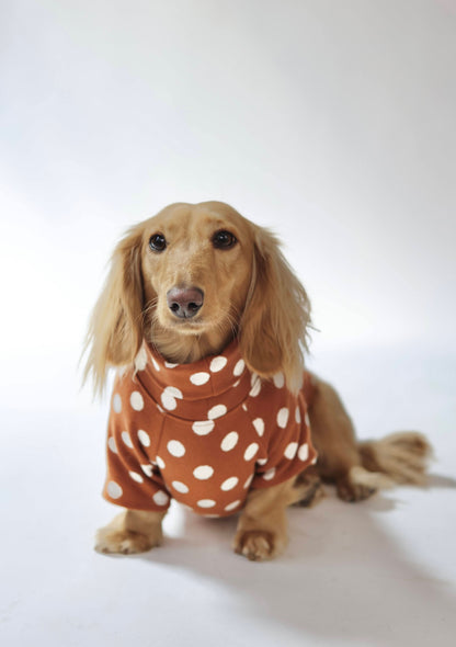 Polka Dot Dog Sweater