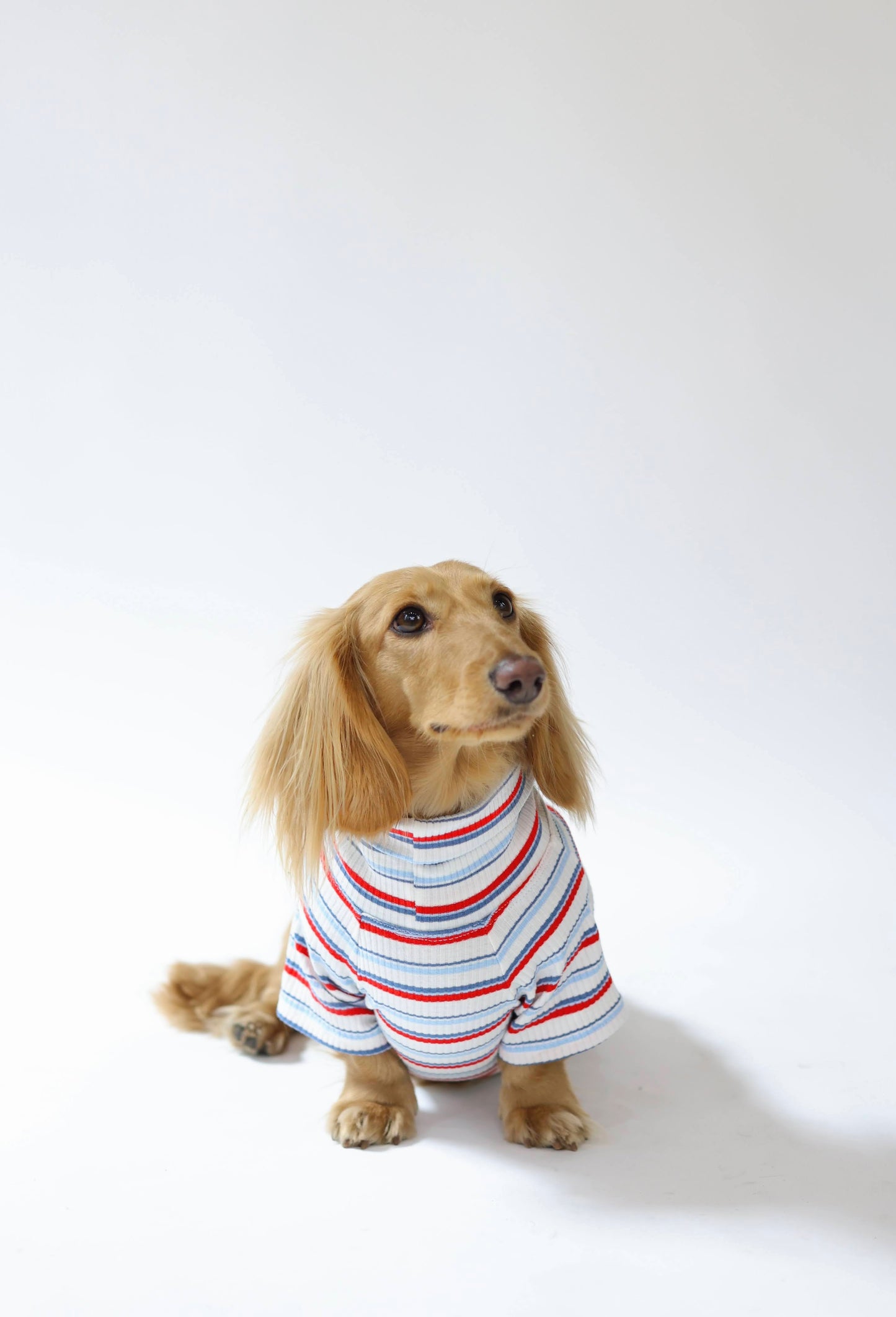 Ice Pop Dog Shirt