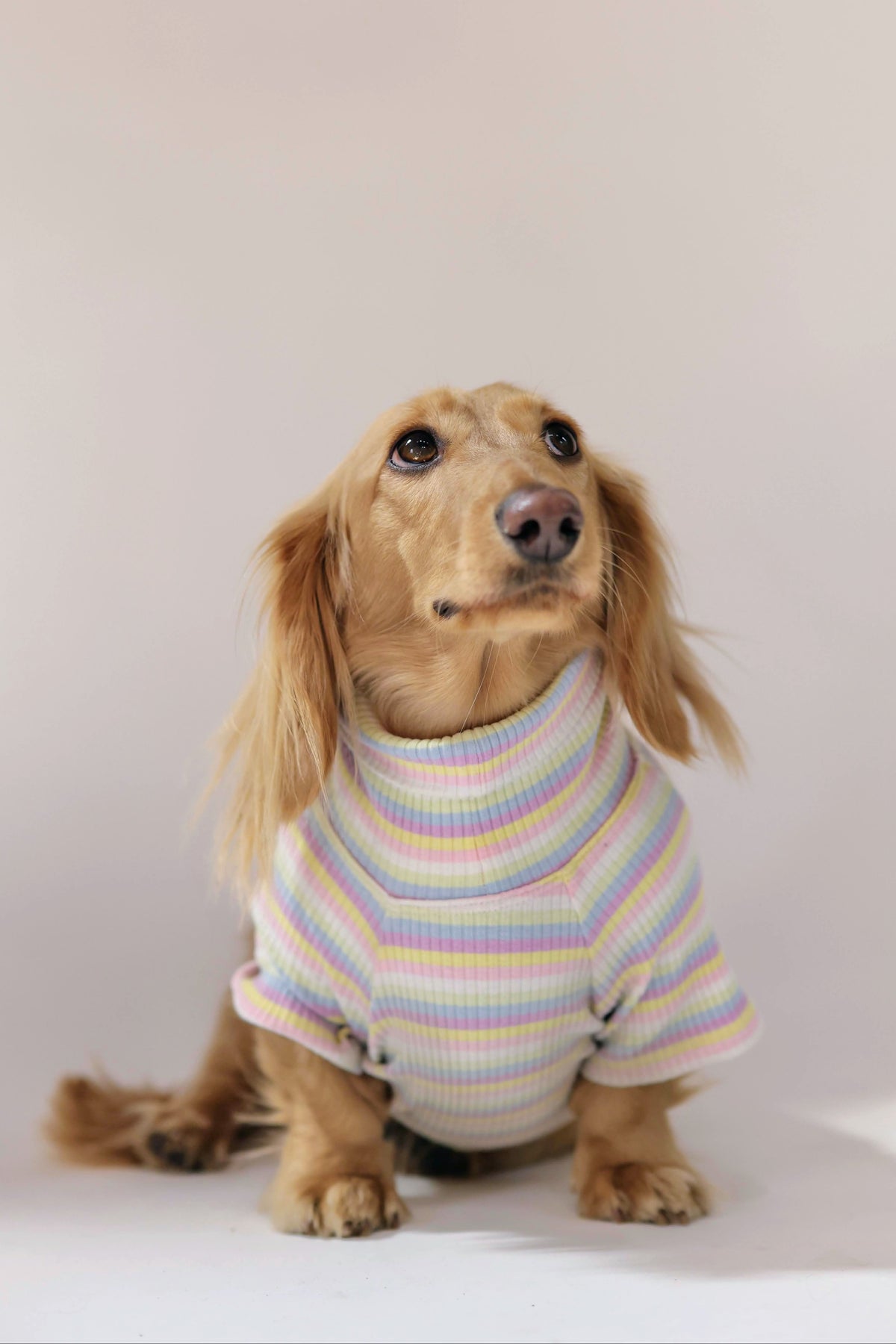 Smallboy Cotton Candy Days Dog Shirt