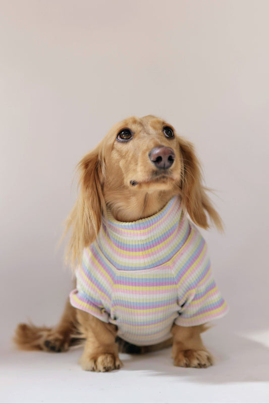 Cotton Candy Days Dog Shirt