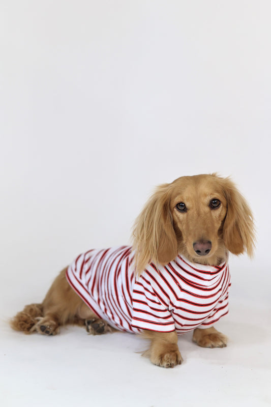 Hotdog Cart Classic Dog Sweater