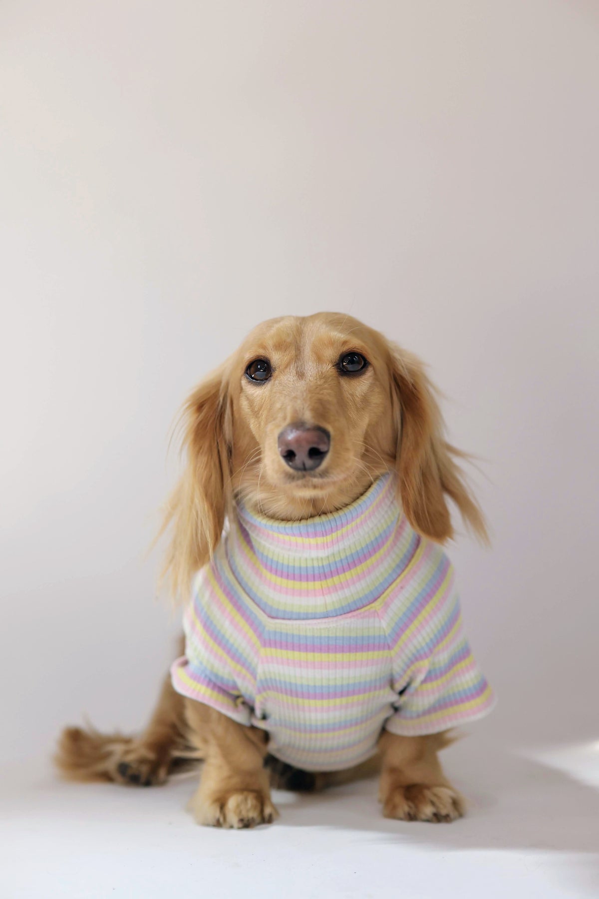Smallboy Cotton Candy Days Dog Shirt