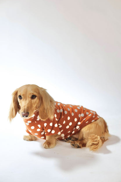 Polka Dot Dog Sweater