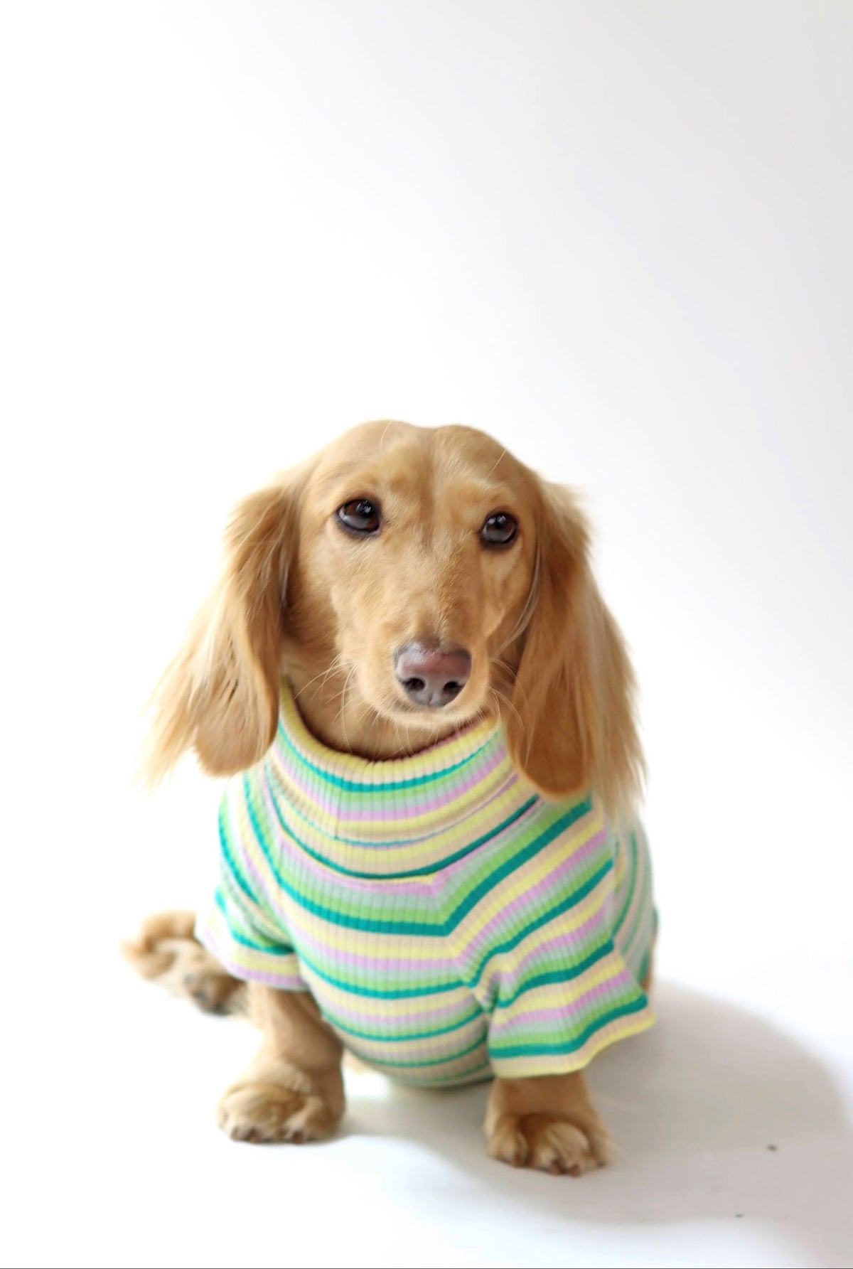 Smallboy Pistachio Stripe Dog Shirt