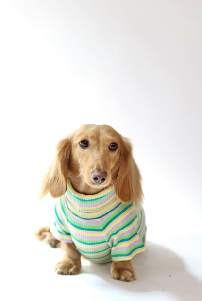 Pistachio Stripe Dog Shirt
