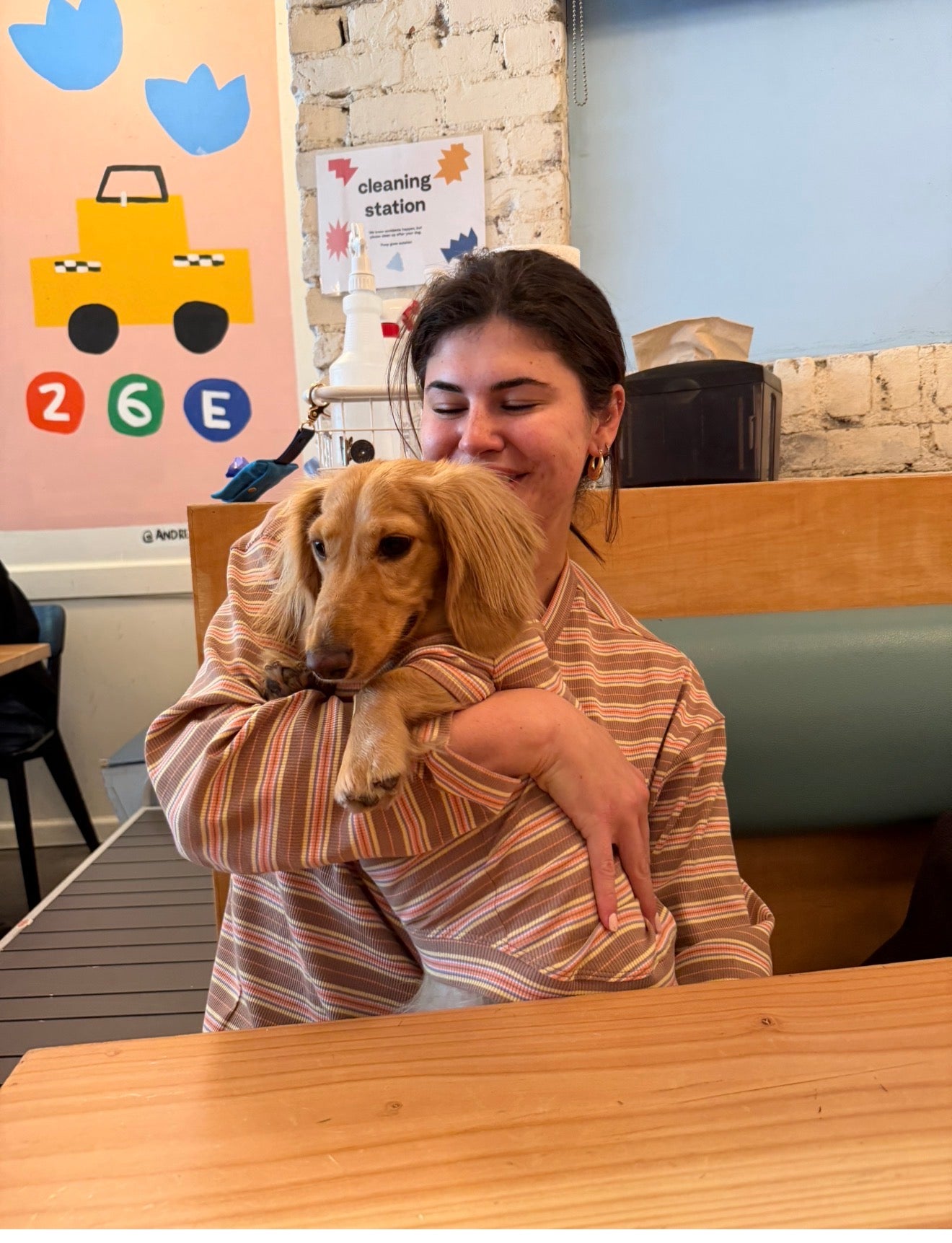 Cocoa Stripe Dog Shirt