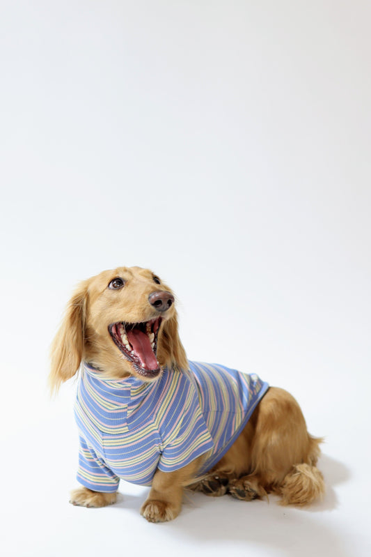 Blueberry Fields Dog Shirt