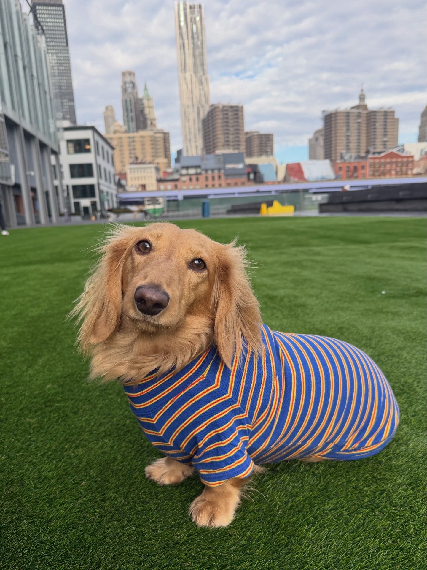 Ballpark Classic Dog Sweater