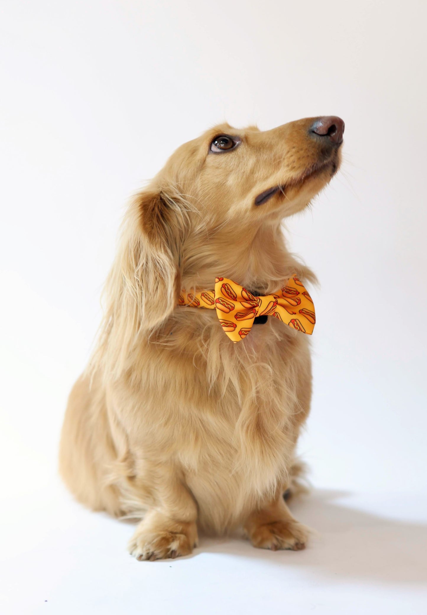 Hot Dog Bowtie