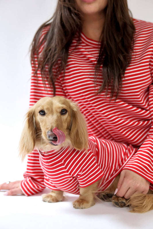 Candy Cane Matching Set