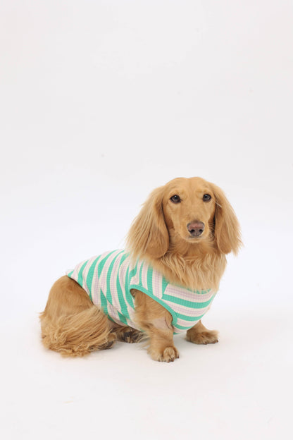 Mint Chip Dog Shirt