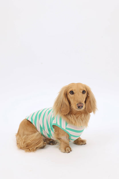 Mint Chip Dog Shirt