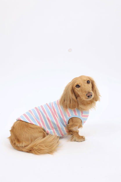 Saltwater Taffy Dog Shirt