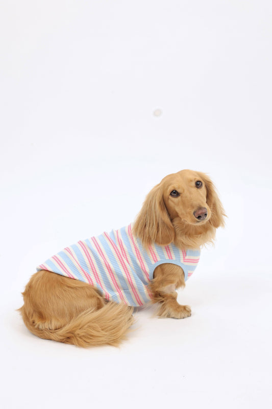 Saltwater Taffy Dog Shirt