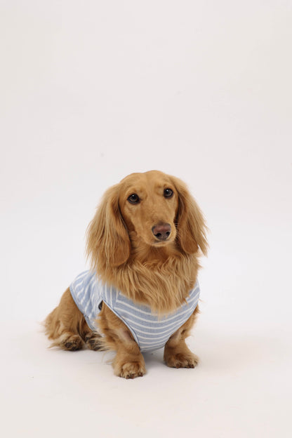 Sea Salt Dog Shirt
