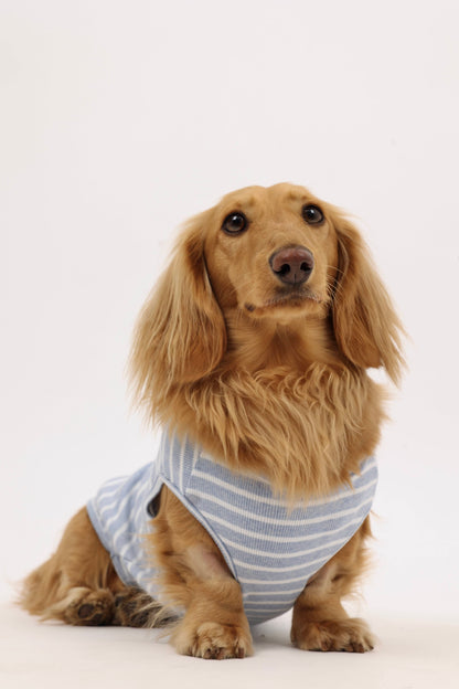 Sea Salt Dog Shirt
