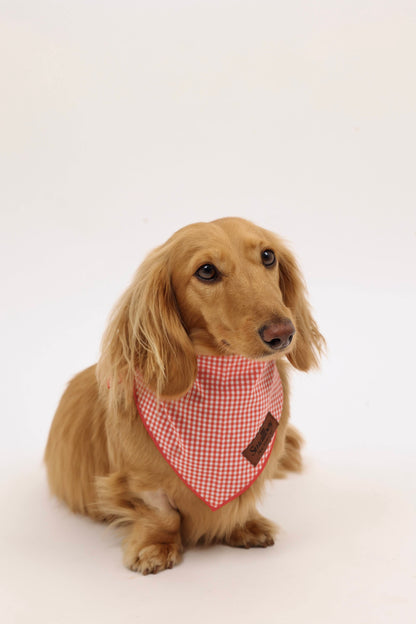Picnic Pup Bandana