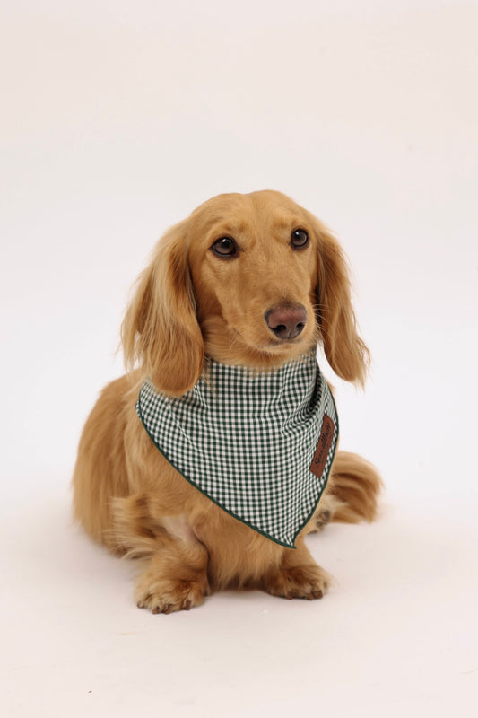 Picnic Pup Bandana