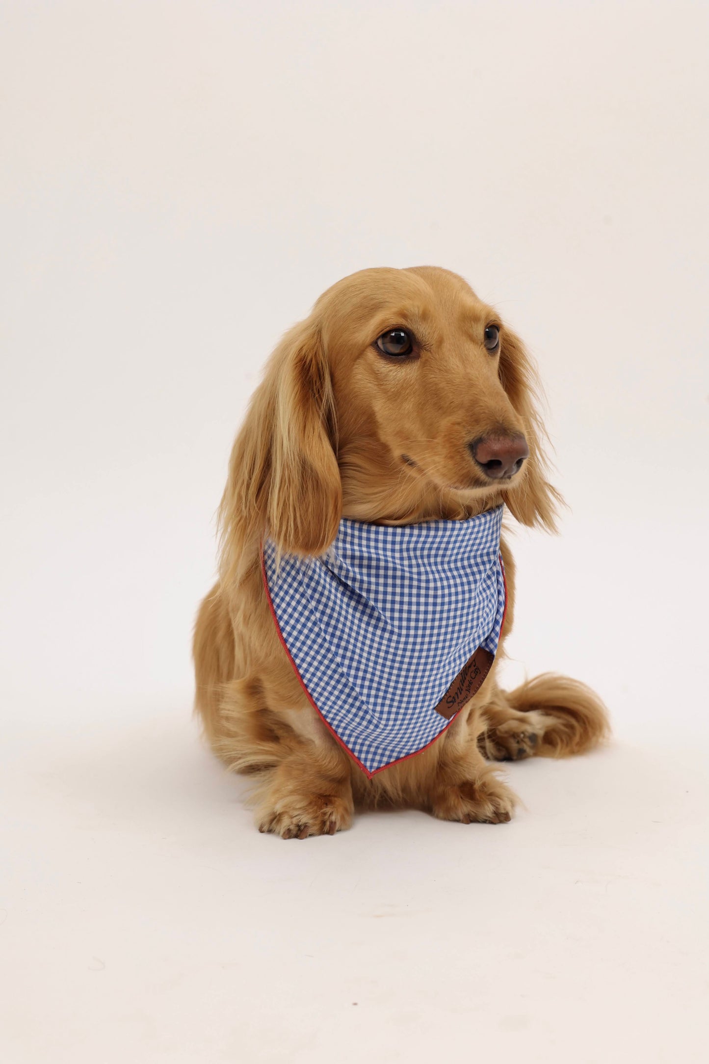 Star-Spangled Pup Bandana