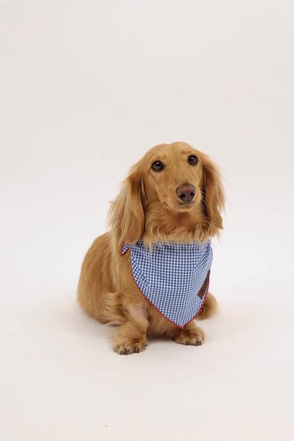 Star-Spangled Pup Bandana