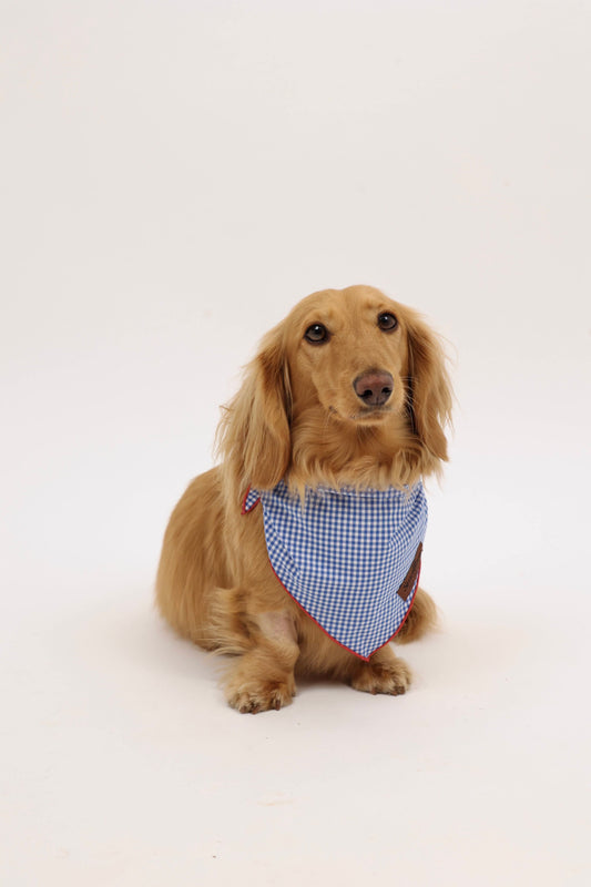 Star-Spangled Pup Bandana