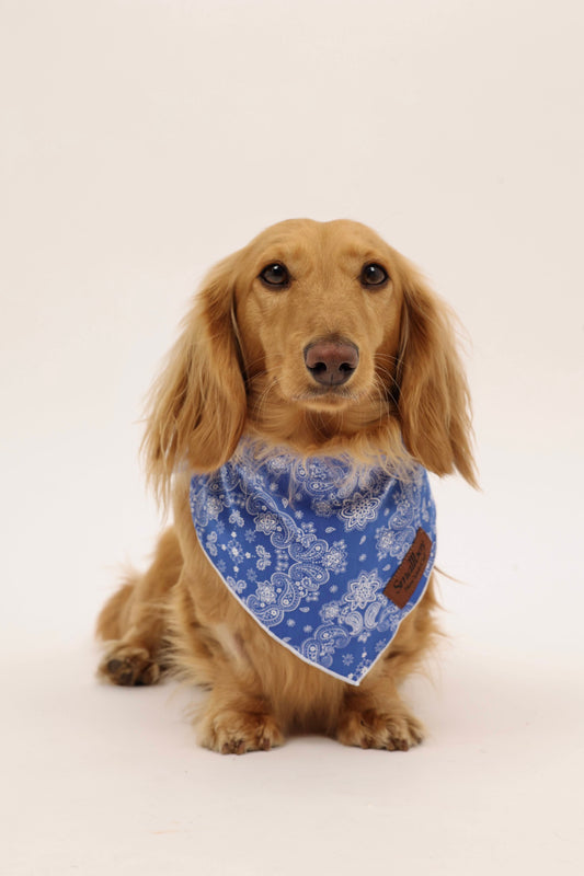 Lil' Wrangler Bandana