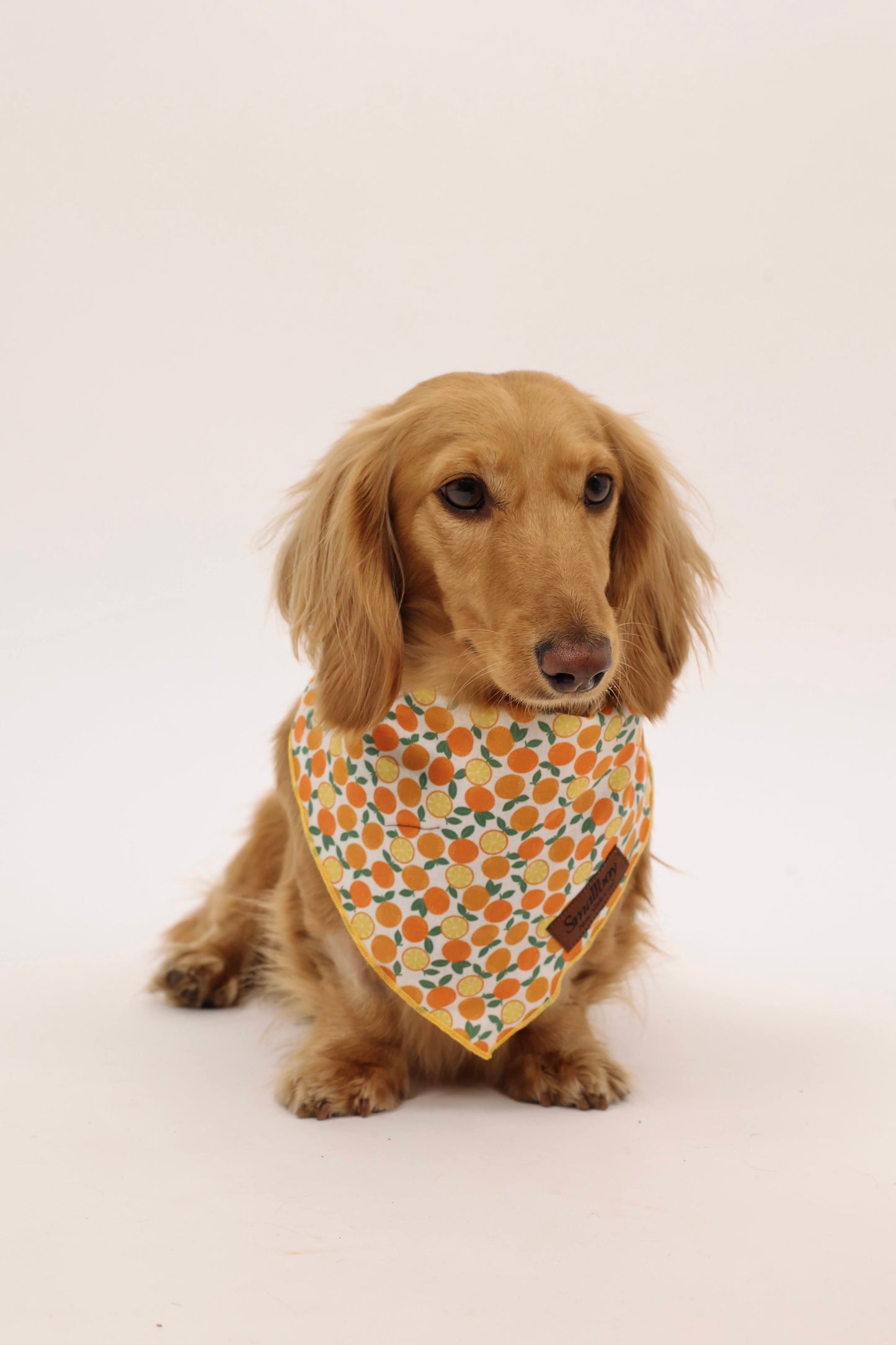 Squeeze the Day Bandana