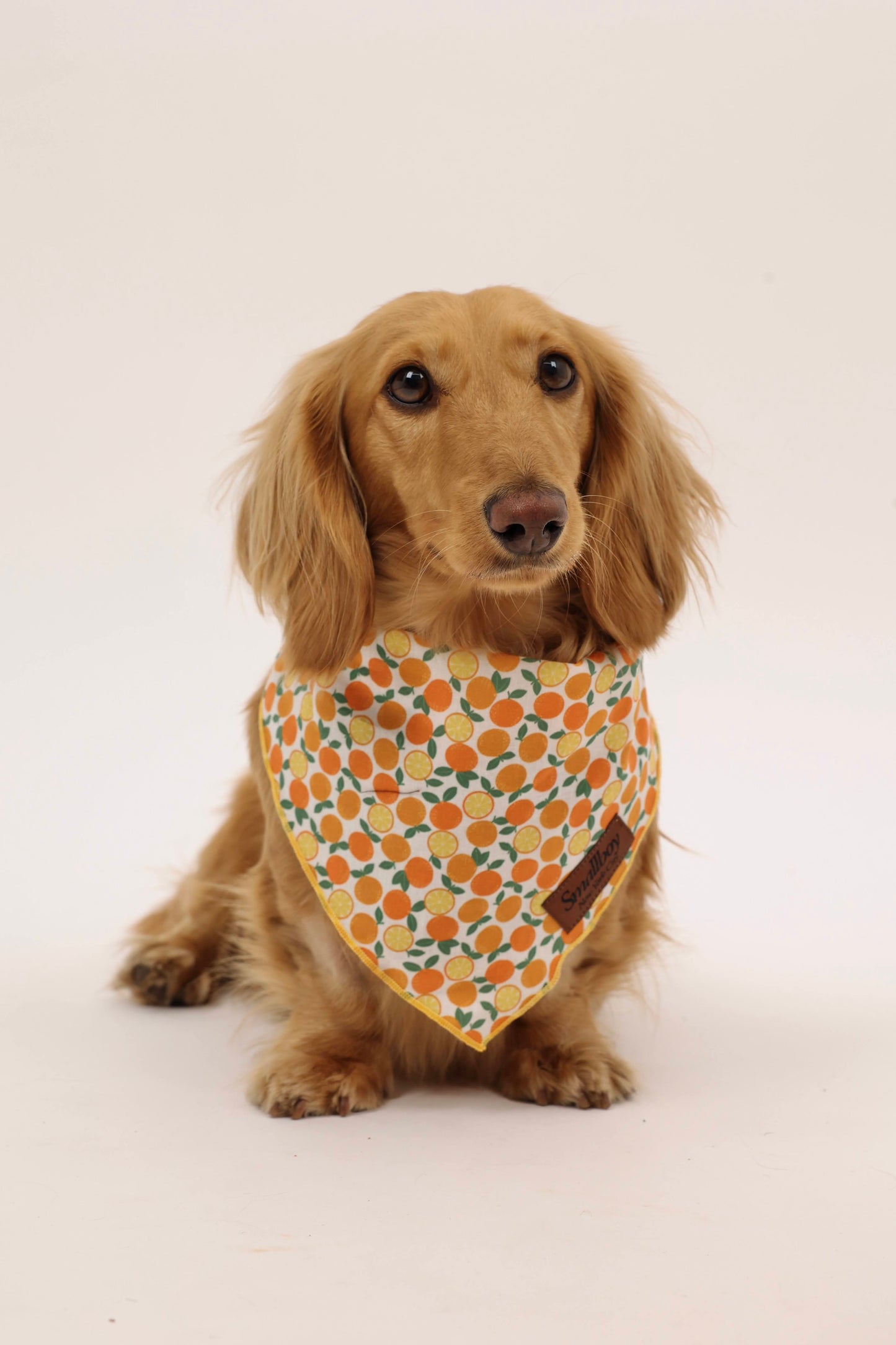 Squeeze the Day Bandana