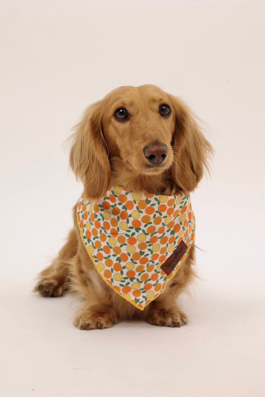 Squeeze the Day Bandana