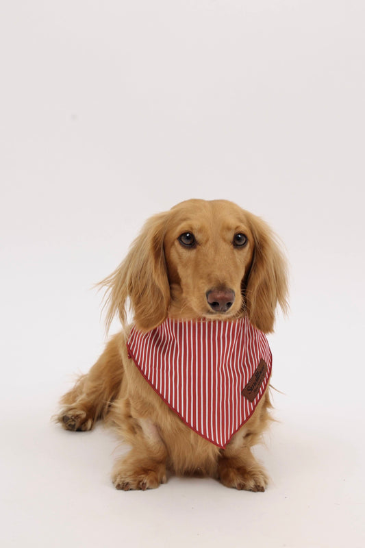 Sweet Cherry Bandana